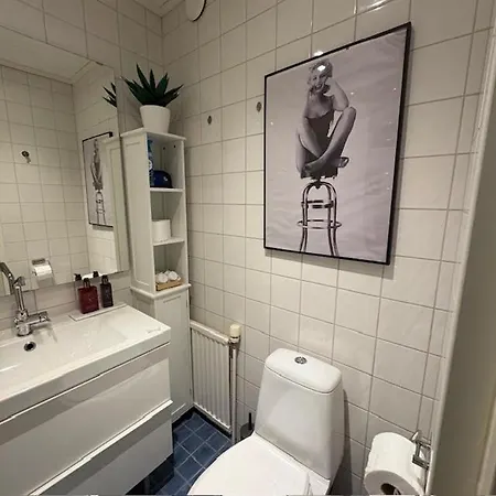 Sikvaegen Апартаменты Мариехамн